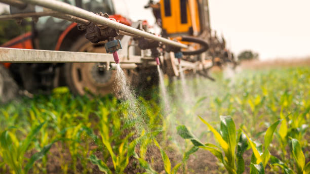Best Pest Removal Services  in West Union, OH
